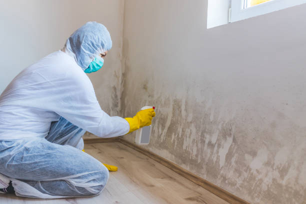 Licensed Crawl Space Mold Removal service in Garland, NC - WQB Mold Removal