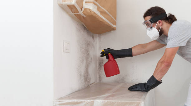 Professional Crawl Space Mold Removal technician working in Garland, NC