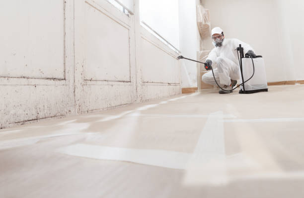 24/7 Emergency Crawl Space Mold Removal experts in Garland, NC