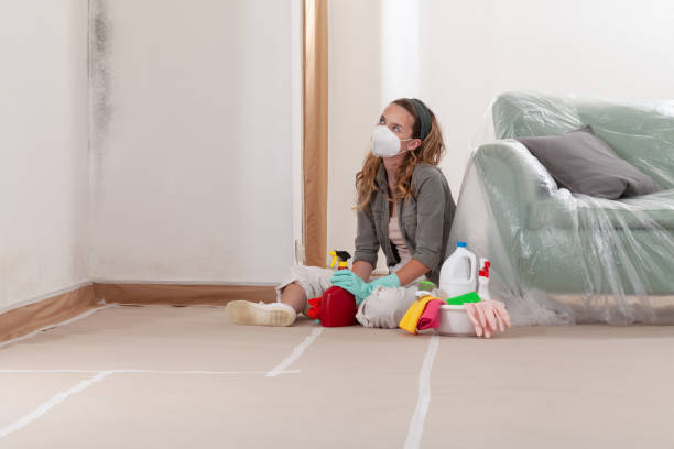 Reliable Crawl Space Mold Removal contractor in Garland, NC by WQB Mold Removal