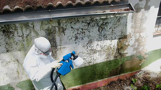 Top rated local Crawl Space Mold Removal specialists in Garland, NC